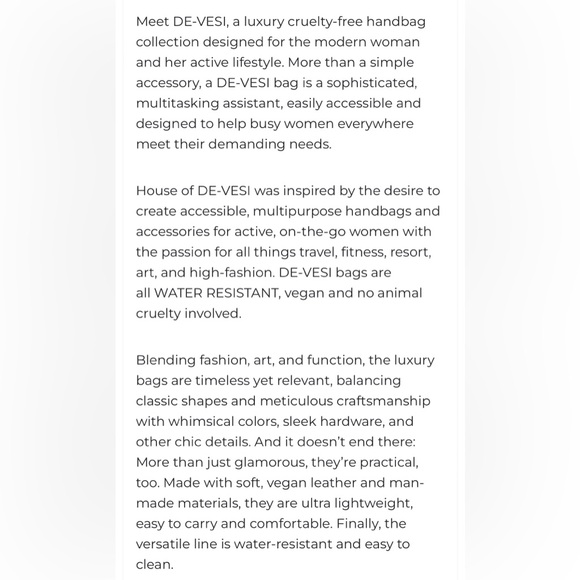 DeVesi Clear Boss Hand painted Tote - Picture 17 of 17